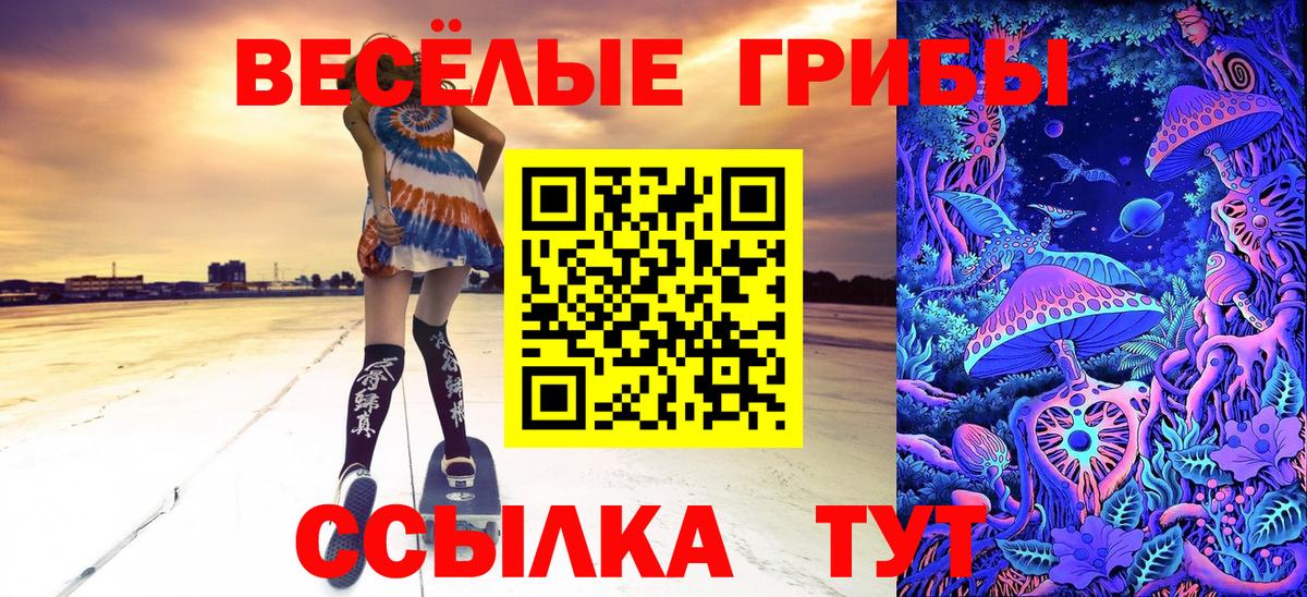 Галлюциногенные грибы Cubensis Можга