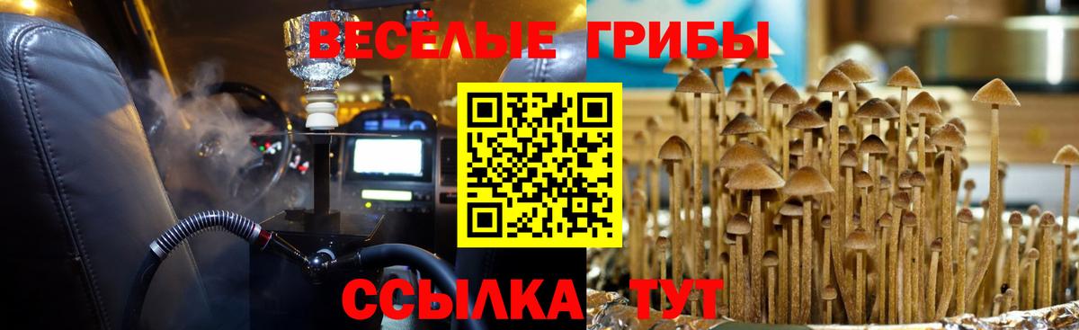 Можга  Псилоцибиновые грибы Magic Shrooms  Галлюциногенные грибы Psilocybe  Вход с VPN 