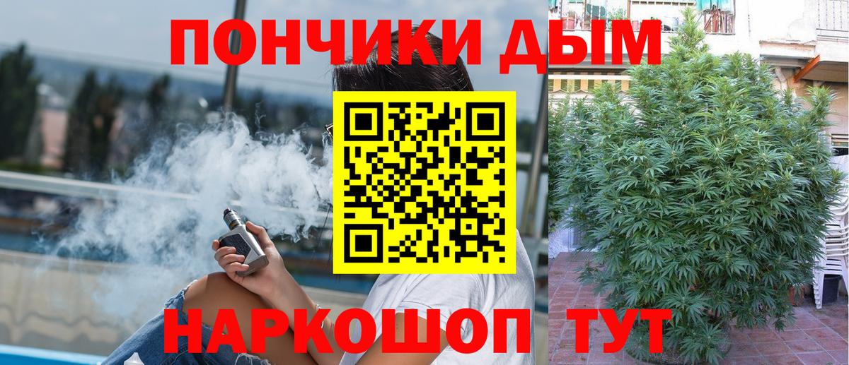 Конопля Bruce Banner  Шишки марихуана план  Можга  Бошки Шишки Ganja  Вход с VPN 